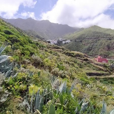 Casa-Solarium En La Naturaleza Santa Cruz de Tenerife Eksteriør billede