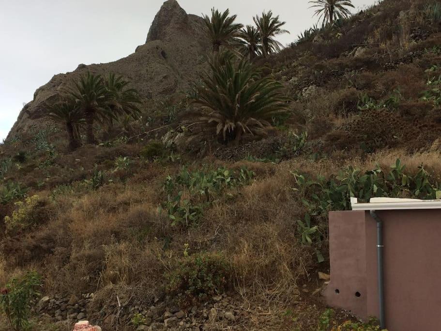 Casa-Solarium En La Naturaleza Santa Cruz de Tenerife Eksteriør billede