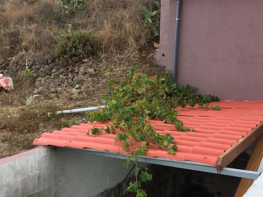 Casa-Solarium En La Naturaleza Santa Cruz de Tenerife Eksteriør billede
